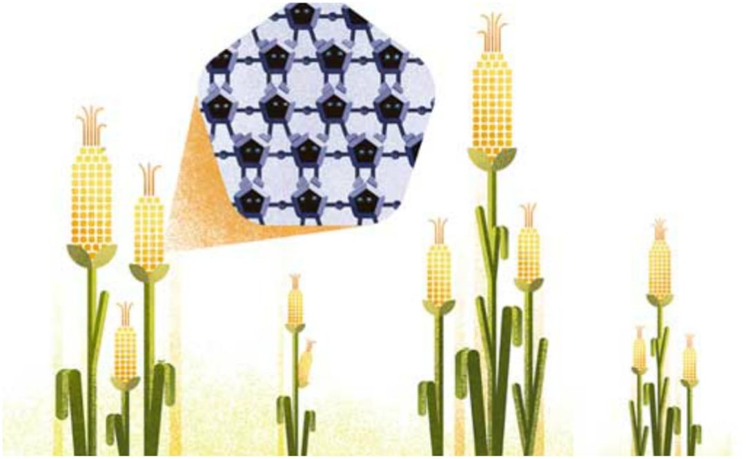 Las áreas médicas, automotriz, agrícola, textil y de manufactura se benefician de los avances  e innovaciones de tamaño diminuto