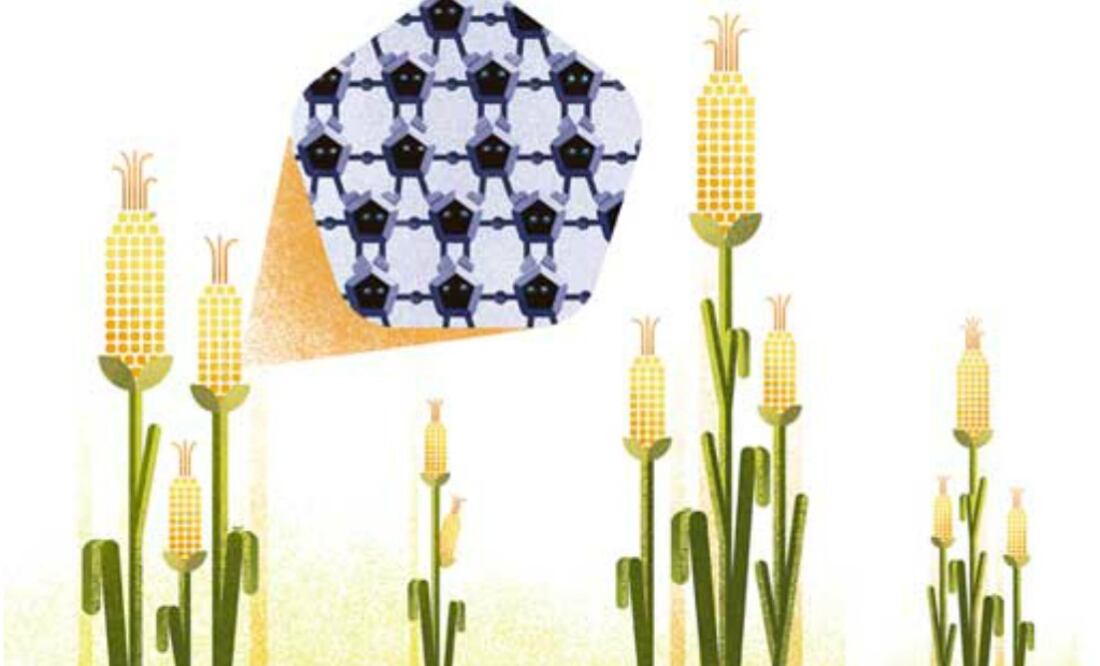 Las áreas médicas, automotriz, agrícola, textil y de manufactura se benefician de los avances e innovaciones de tamaño diminuto