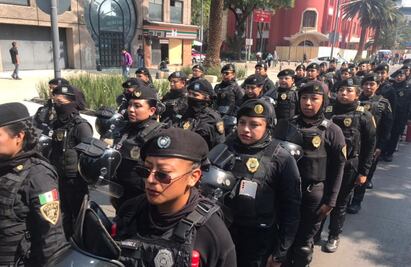 ¿Flores o golpes? Ateneas y los bloques negros en marcha del 25N 