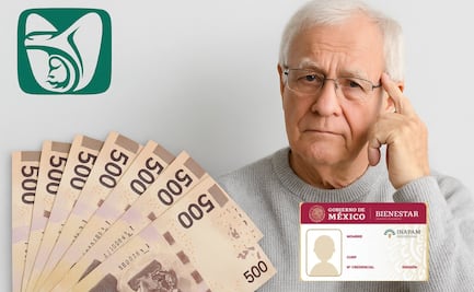 INAPAM te ayuda a obtener la pensión IMSS Ley 73; requisitos y cómo aprovechar el programa Vinculación Productiva