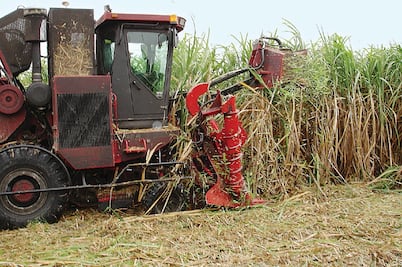 SAE vende tres de cinco ingenios por 3 mil mdp