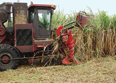 SAE vende tres de cinco ingenios por 3 mil mdp