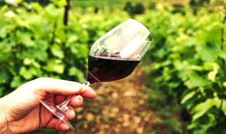 El 7 de octubre será declarado como “Día del vino mexicano” 