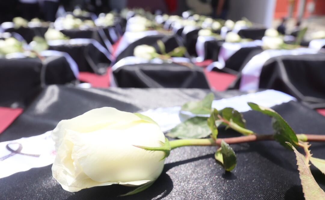 Fotos: Omar Contreras / EL UNIVERSAL