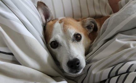 ¿A qué hora hará más frío hoy, 15 de diciembre de 2021?