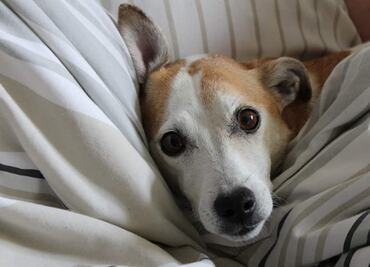 ¿A qué hora hará más frío hoy, 15 de diciembre de 2021?