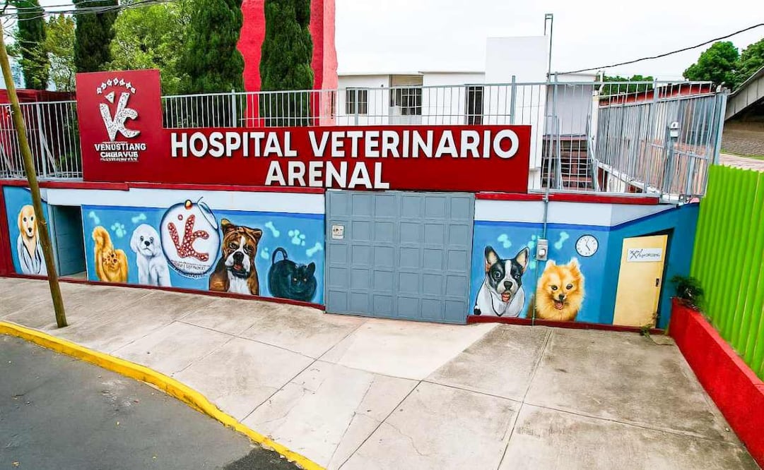 Inauguran nuevo Hospital Veterinario en Venustiano Carranza (25/08/2025). Foto: Especial