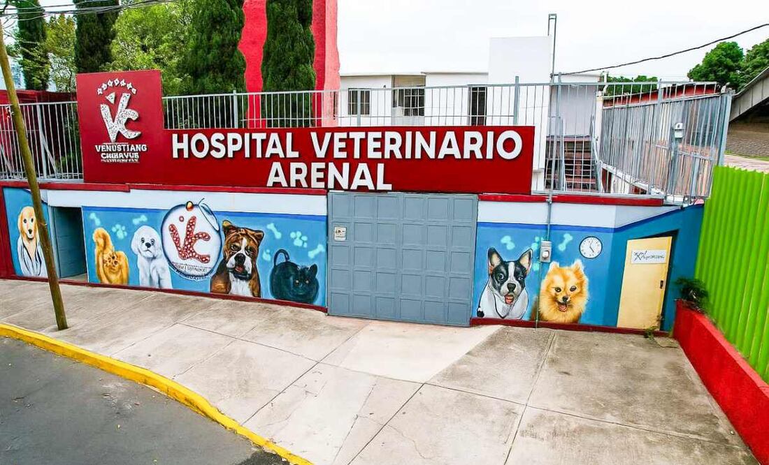 Inauguran nuevo Hospital Veterinario en Venustiano Carranza (25/08/2025). Foto: Especial