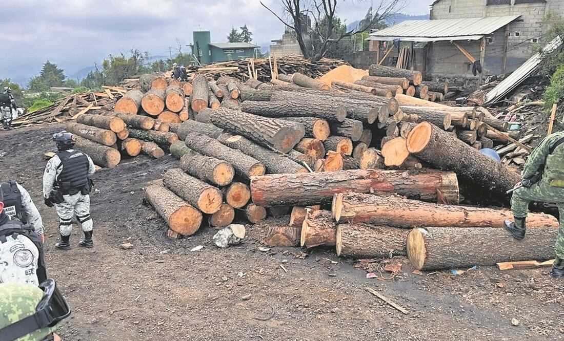 Elementos del Ejército y la Guardia Nacional llegaron a Huitzilac a resguardar la madera decomisada. Foto: Especial