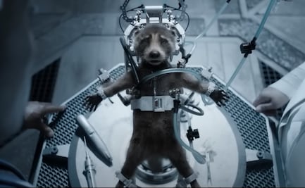 PETA reconoce a “Guardianes de la Galaxia” por crear conciencia sobre maltrato animal