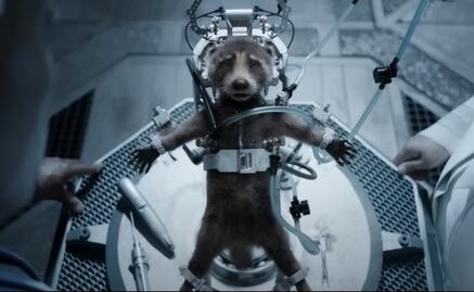 PETA reconoce a “Guardianes de la Galaxia” por crear conciencia sobre maltrato animal