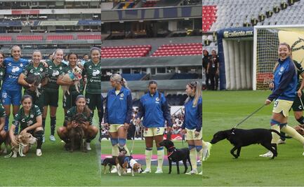 América Femenil y Santos Laguna ingresaron al campo de juego con perros para promover la adopción