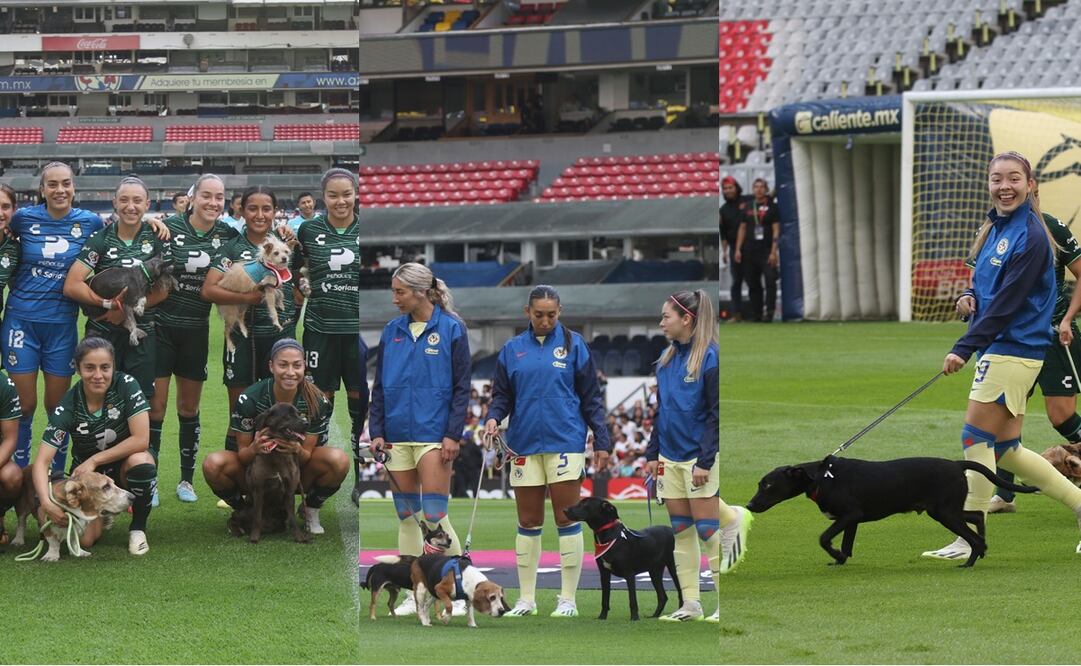 América y Santos Femenil entran al campo de juego con perros / Fotos: Carlos Mejía - EL UNIVERSAL