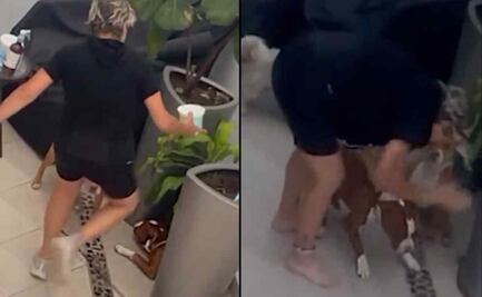 Rescatan a 2 pitbull que eran golpeados por una mujer en la Benito Juárez