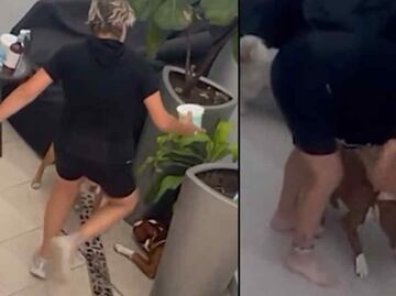 Rescatan a 2 pitbull que eran golpeados por una mujer en la Benito Juárez