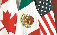 Senador de Canadá pide "cabeza fría" para revisión de T-MEC; "es una oportunidad para fortalecer el acuerdo", considera