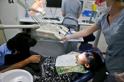 Ayudan perros terapeutas a niños con autismo en el dentista