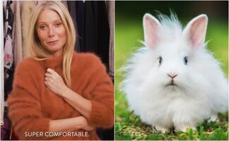 Gwyneth Paltrow retira productos de Angora de Goop tras reclamos de defensores de animales