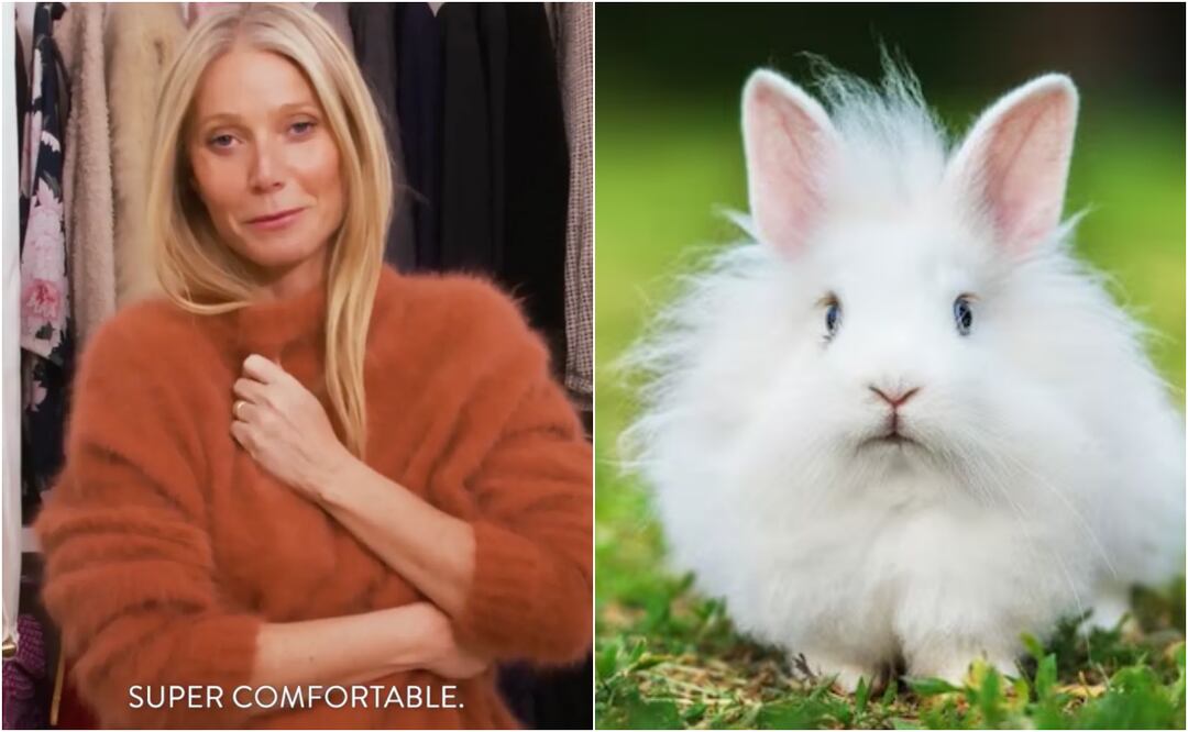 La actriz retiró todos los productos hechos con lana de angora tras el lanzamiento de una campaña animalista en contra de la crueldad que viven estos animales. Foto: Instagram