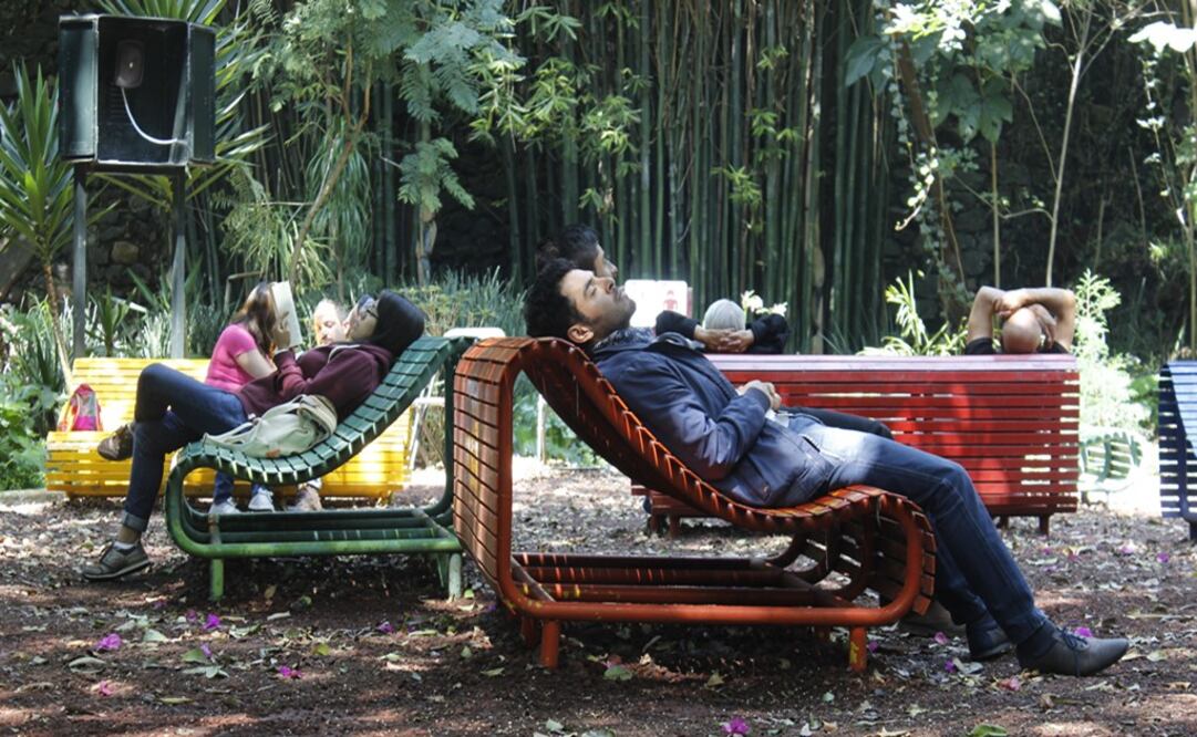 El rincón de la utopía que te dará paz está en el bosque de la CDMX / Foto: Archivo EL UNIVERSAL