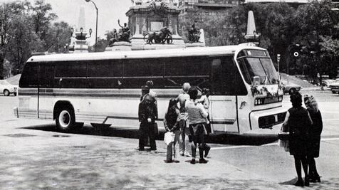 Delfines de un zoológico de asfalto