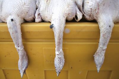 Cena navideña costará mil 200 pesos a los capitalinos 