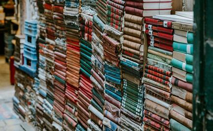 Esta página web te permite acceder a más de 600 libros gratis