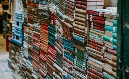 Esta página web te permite acceder a más de 600 libros gratis