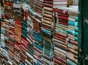 Esta página web te permite acceder a más de 600 libros gratis