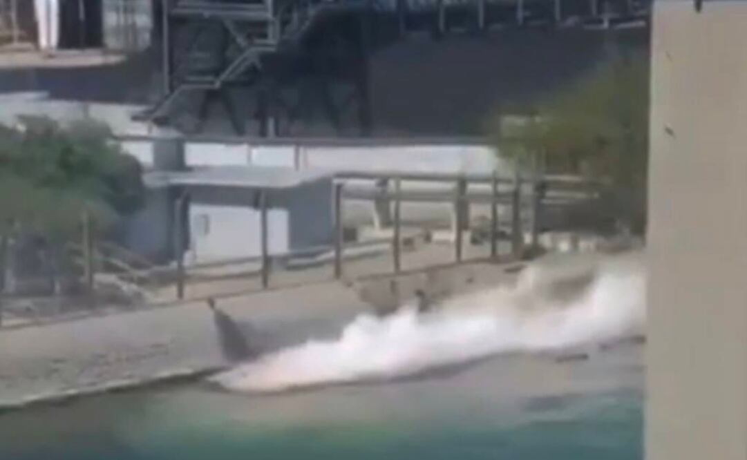 Derrame de tres mil litros de ácido sulfúrico en el Mar de Cortés. Foto: Especial