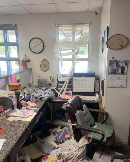 Destrozos en un refugio de perros. Fuente: Facebook @colbertcountyshelter