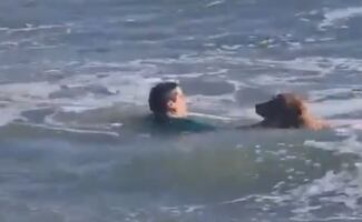 VIDEO: ¡Héroe al agua! Hombre rescata a un perrito en playa de Argentina