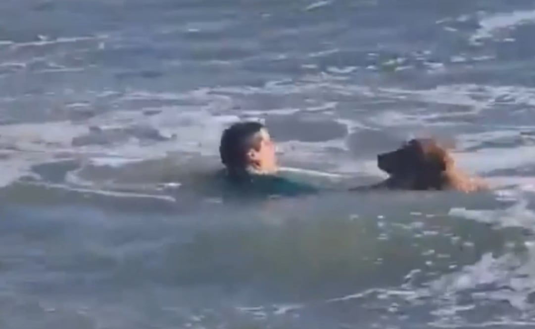 Rescate de perrito en playa de Argentina. Foto: captura de pantalla