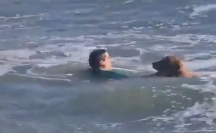 VIDEO: ¡Héroe al agua! Hombre rescata a un perrito en playa de Argentina