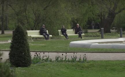 Heces de pollo: la peculiar medida en Suecia para evitar las reuniones en parques