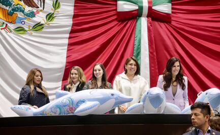 ¡Adiós espectáculos con delfines!; diputados aprueban prohibir “delfinarios”