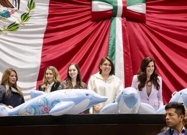 ¡Adiós espectáculos con delfines!; diputados aprueban prohibir “delfinarios”