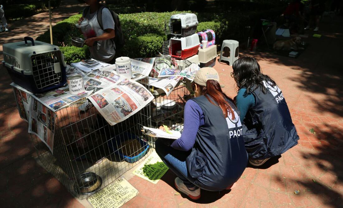 La Procuraduría Ambiental y del Ordenamiento Territorial (PAOT). Foto: especial