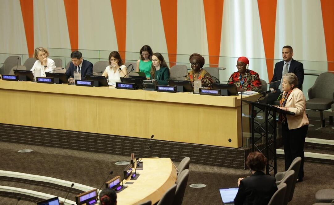 Alicia Bárcena participó en el diálogo del Consejo Económico y Social de la ONU. Foto: SRE