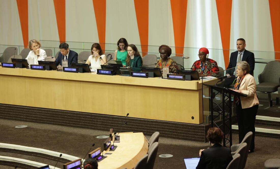 Alicia Bárcena participó en el diálogo del Consejo Económico y Social de la ONU. Foto: SRE
