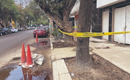 “La colonia Álamos se ha vuelto más insegura”