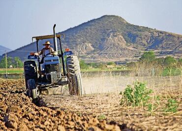 Sembrando Vida no detiene la migración