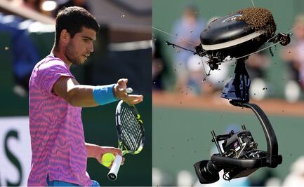 Suspenden partido entre Carlos Alcaraz y Alexander Zverev por una "invasión" de abejas