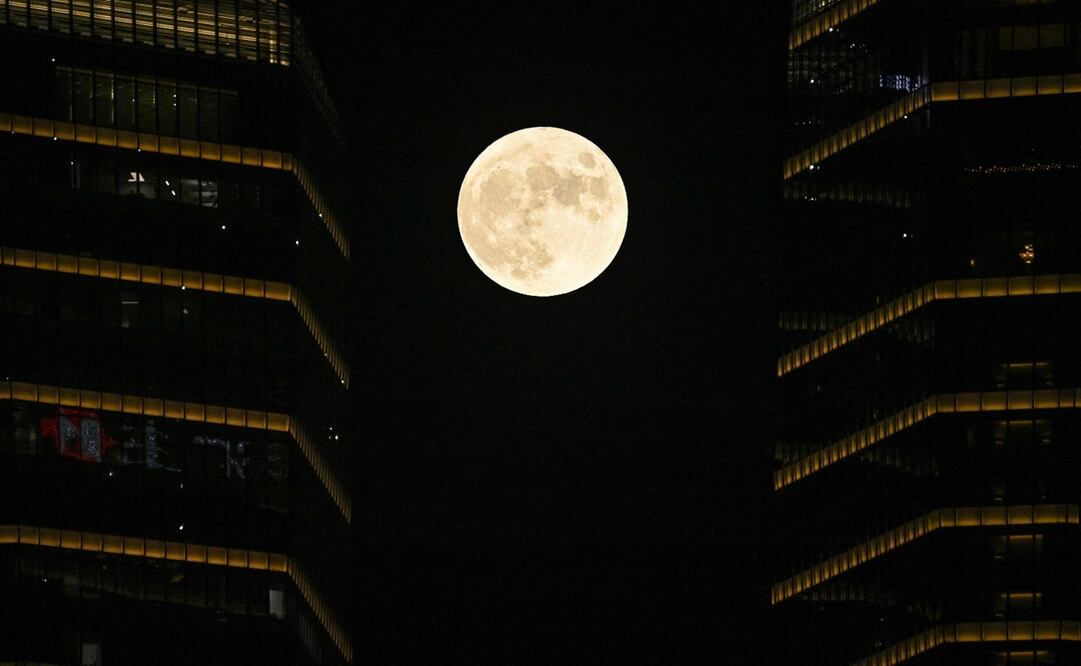 Foto: AFP/ Hector RETAMAL