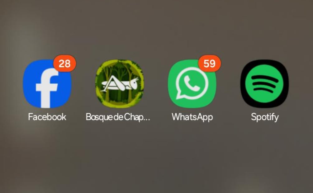 La app Bosque de Chapultepec está disponible tanto en Android como iOS. Foto: Captura de pantalla