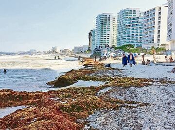 Inicia instalación de vallas contra sargazo en Cancún