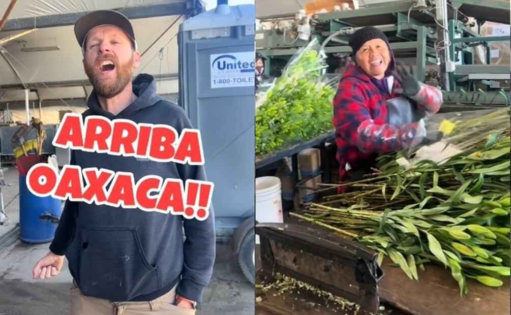 Elogio de un patrón estadounidense. Fuente: TikTok @el_texano805