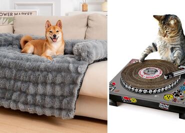 Buen Fin 2024: Accesorios con estilo para tus mascotas