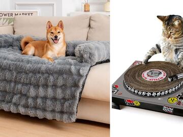 Buen Fin 2024: Accesorios con estilo para tus mascotas