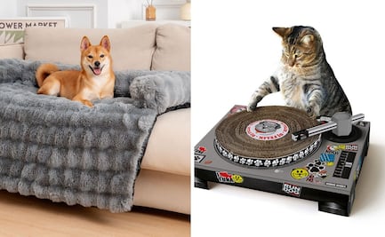 Buen Fin 2024: Accesorios con estilo para tus mascotas